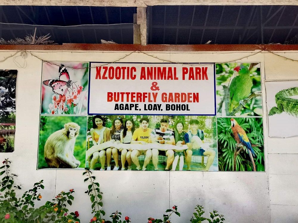 Zoomazing Animal Park