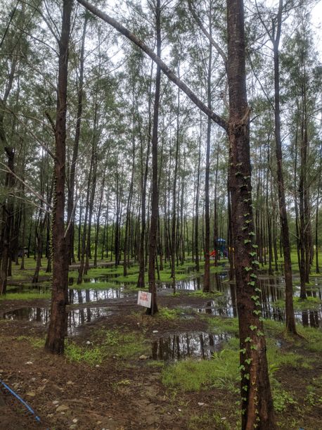 Agoo Eco-Park