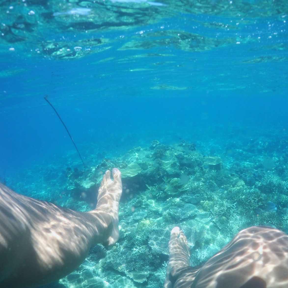 El Nido, Food for the Eyes